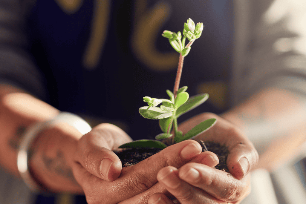 Growth Mindset - Leadership Qualities - KNOLSKAPE